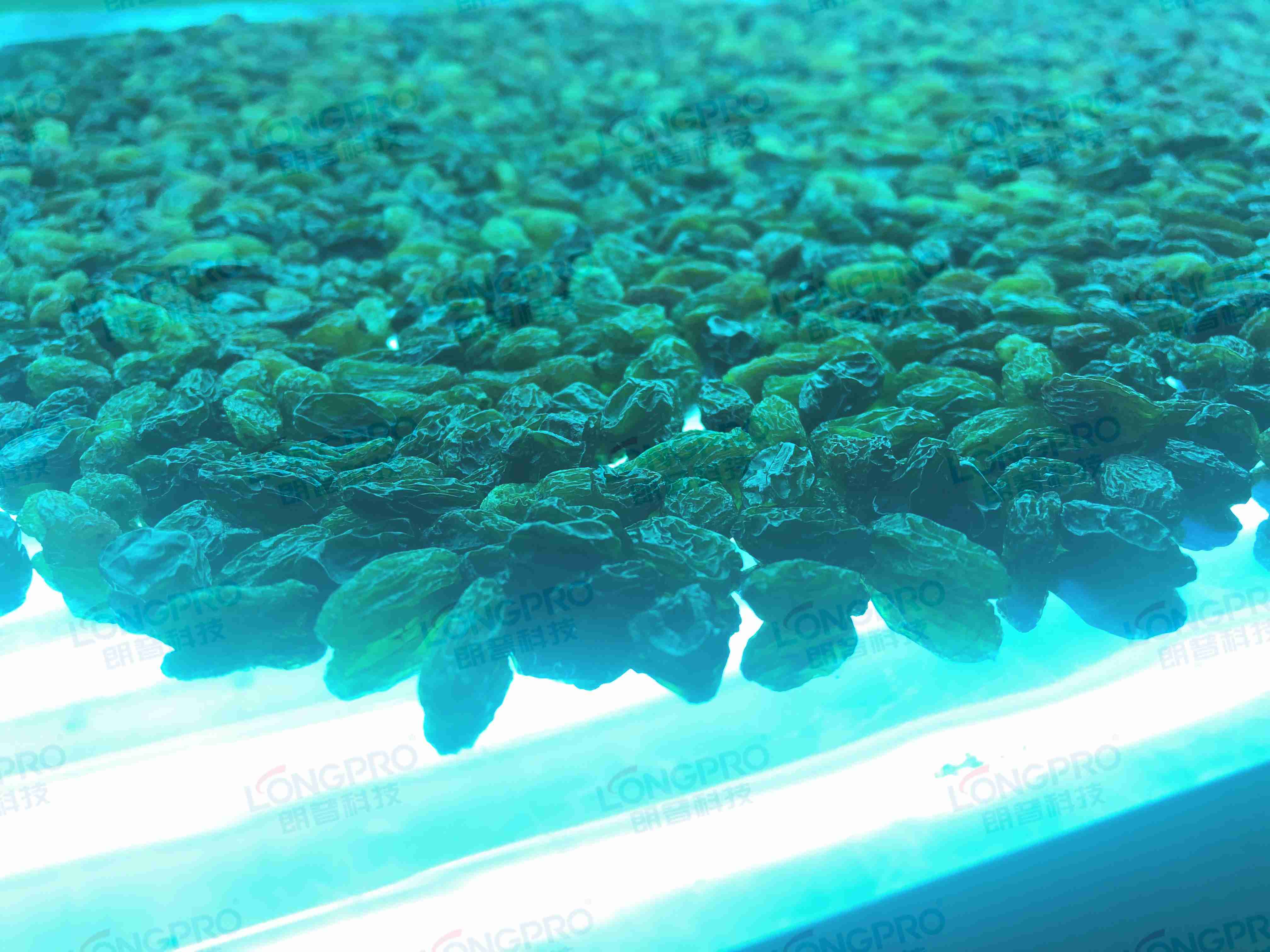 食品細(xì)菌超標(biāo)怎么解決？utf-8